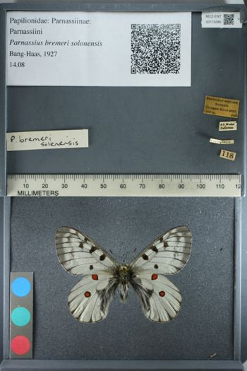 Media type: image;   Entomology 174286
